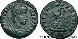 CONSTANS Demi-maiorina