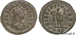 CARINO Aurelianus