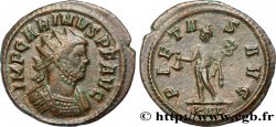 CARIN Aurelianus