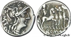 CAECILIA Denier