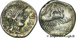 CURTIA Denier