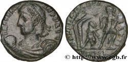 CONSTANS Maiorina