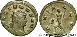 GALLIEN Antoninien SUP