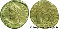 CONSTANS Maiorina