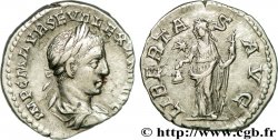 ALEXANDER SEVERUS Denier