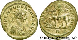 PROBUS Aurelianus VZ/fVZ