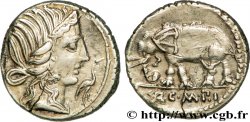 CAECILIA Denier