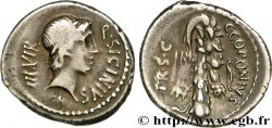 SICINIA Denier