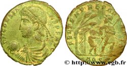 CONSTANS Maiorina