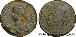 CONSTANS Maiorina