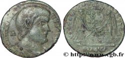 MAGNENTIUS Maiorina