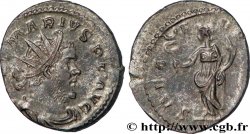 MARIUS Antoninien SPL