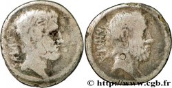 BRUTUS Denier B+