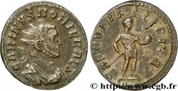 CARIN Aurelianus
