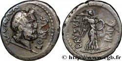 BRUTUS Denier TB+