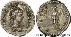 CARACALLA Denier