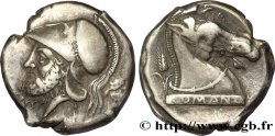 REPÚBLICA ROMANA - ANÓNIMO Didrachme romano-campanien ou nummus