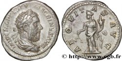 MACRINO Denier