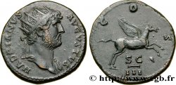 HADRIEN Dupondius SUP