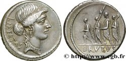 BRUTUS Denier SUP