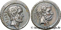 BRUTUS Denier SUP