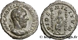 MACRINO Denier SC