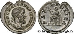 PUPIENO Denier SC/EBC