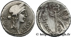 SICINIA Denier