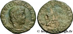 HANNIBALLIEN Centenionalis ou nummus TB/B+