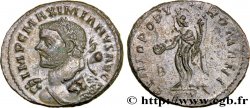 MAXIMIEN HERCULE Follis ou nummus