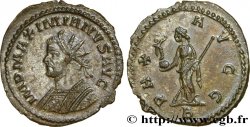 MASSIMIANO ERCOLE Aurelianus