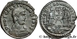 DECENTIUS Maiorina, (MB, Æ 2) AU/AU