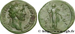 ANTONINUS PIUS Dupondius XF
