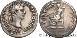 NERVA Denier