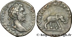 SEPTIMIUS SEVERUS Denier