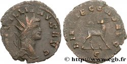 GALLIEN Antoninien TTB