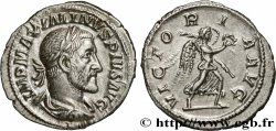MAXIMINUS I Denier MS