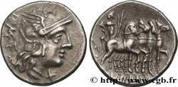 CAECILIA Denier