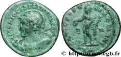 DIOCLETIAN Follis ou nummus XF