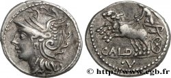 COELIA Denier