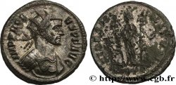 PROBUS Aurelianus