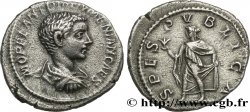DIADUMENIAN Denier