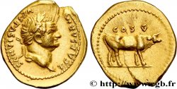 TITUS Aureus