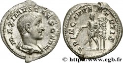 MAXIMUS Denier MS