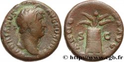 HADRIANUS As