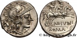 JUNIA Denier MS