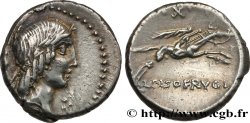 CALPURNIA Denier
