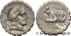 NAEVIA Denier serratus
