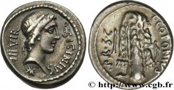 SICINIA Denier