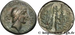 SICINIA Denier